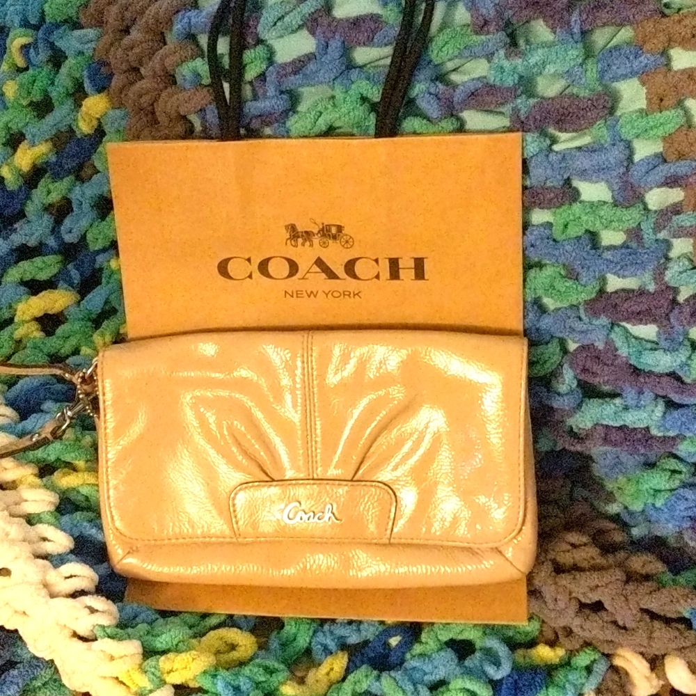 Coach clutch